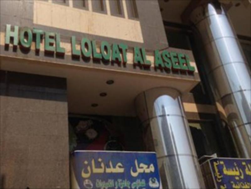 Loaloa Al Aseel Hotel Main image 1